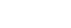 BTSOFT 老虎機